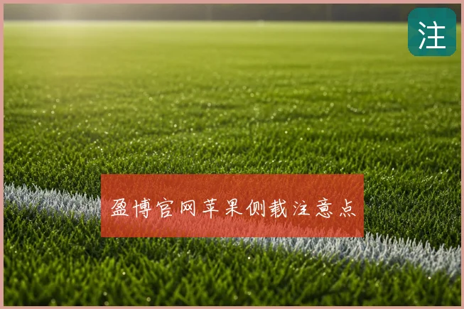 盈博官网苹果侧载注意点