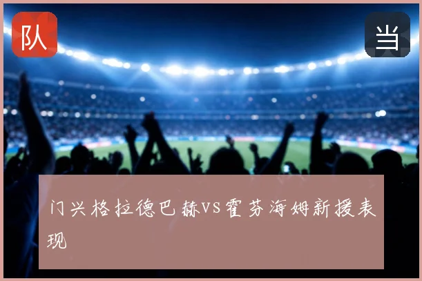 门兴格拉德巴赫vs霍芬海姆新援表现